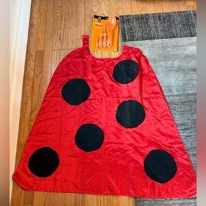 Handmade Ladybug Red and Black adult Cape and a pumpkin carving kit